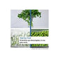 Frigorífico Combinado Bosch KGN392WCF, 363 L, Total No Frost, 203 cm, Clase C, Blanco